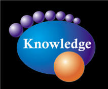 Knowledge for ice carvers